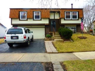 843 Tamms Ln, Lemont IL  60440-1621 exterior