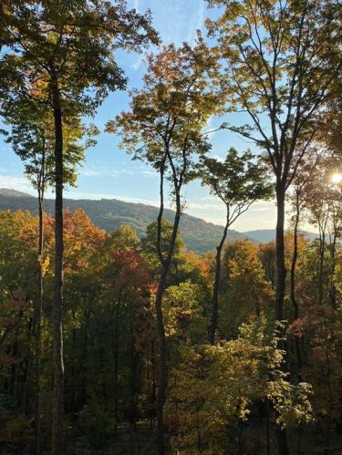 1458 Valley View Dr, Big Canoe GA  exterior