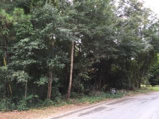 295 Coffee Bluff Villa Rd, Savannah, GA 31419-3164