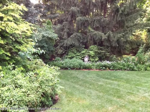 9 Fox Hill Rd, Middletown NJ exterior