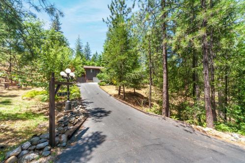 3950 Frog Hollow Dr, Swansboro Country, CA 95667-8431