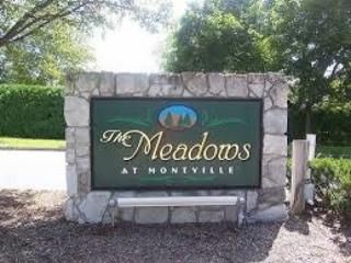 10 Madison Ct, Montville Township, NJ 07045-9138