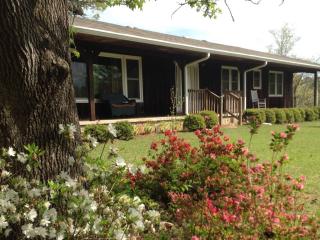 206 Ware Rd, Newnan, GA 30263-4915