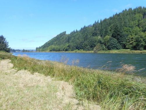 5289 Alsea Hwy, Waldport, OR 97394-9751