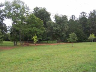 245 John Cline Rd, Flay, NC 28021-8309