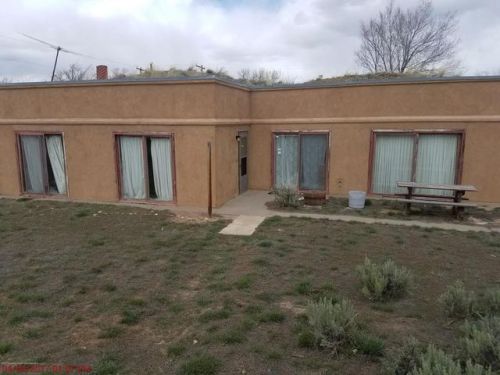 61 Collom St, Greystone, CO 81640-5600