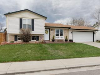 4343 Yank St, Morrison, CO 80465-1231