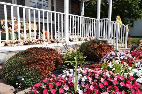 954 Mulberry St, Trenton NJ  08648-4524 exterior