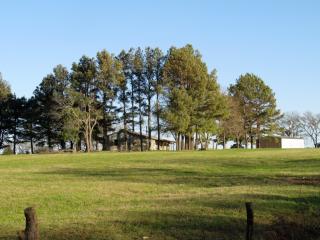 11305 Enterprise Rd, Wapanucka, OK 73461-9145