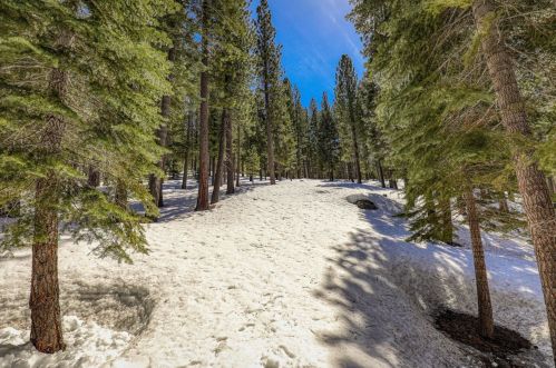 733 Conifer, Truckee CA  96161-3942 exterior