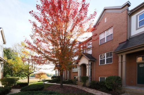 1056 Claremont Dr, Palatine, IL 60074-4000