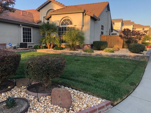 8731 Freesia Dr, Elk Grove, CA 95624-3829