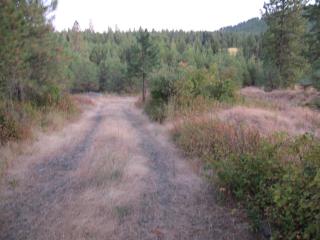 4440 Highway 5, Plummer, ID 83851-9681
