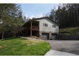 90 Hillbrook Ln, Afton, TN 37616-7050