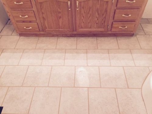 21698 Enslow Rd, Waggoner, IL 62572-6015