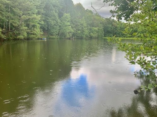 201 Talona Lake Ter, Ellijay, GA 30536-6714
