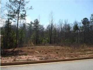 2541 Walnut Ridge Way, Stockbridge, GA 30281-9216