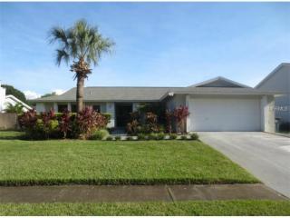 4006 Mtn Spg Ln, Tampa FL  33624-1824 exterior