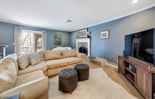 4 Tulip Ln, Dover NJ  07869-4773 exterior