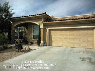 1255 Sapillo Dr, Las Cruces NM  88012-5010 exterior