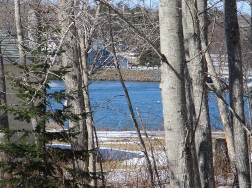 38 Hayden Point Rd, South Thomaston, ME 04858-3201