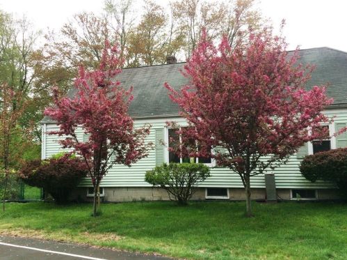 237 Tiogue Ave, Coventry, RI 02816-5254