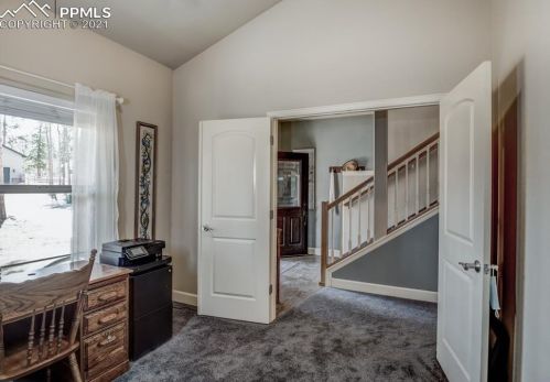 1102 Ptarmigan Dr, Woodland Park CO 80863-8004 exterior