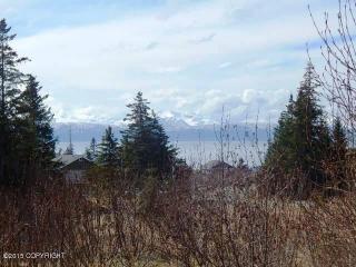 701 Daybreeze Ct, Halibut Cove, AK 99603-7477
