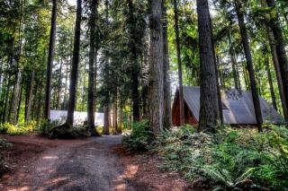 25529 Tiger Mountain Rd, Bellevue, WA 98027-8357