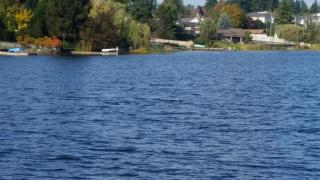 1904 24th Avenue Ct, Milton, WA 98354-9074