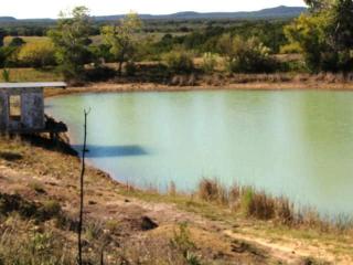 564 County Road 449, Mingus, TX 76463-7003