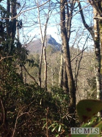 58 Chinquapin Ct, Sapphire, NC 28774