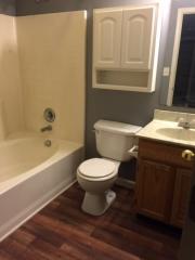 3643 Cedar Pine Pl, Indianapolis IN  46235-5813 exterior