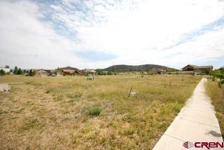 1605 Taylor Cir, Vallecito, CO 81122-9472