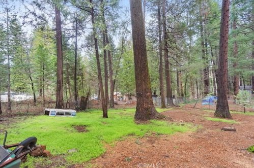 6465 Perry Rd, Nimshew CA  95954-9342 exterior