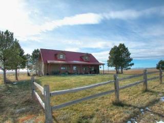 19350 Lemesany Rd, Calhan, CO 80808-9521