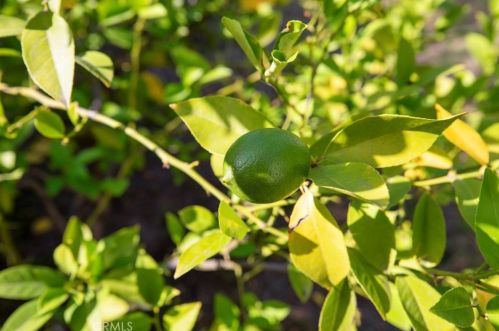 4217 Boston Ave, Glendale CA  91214-2411 exterior