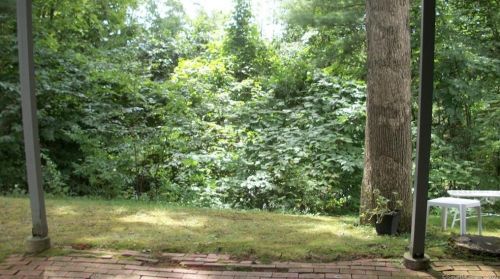 54 Hunter Ct, Torrington CT  06790-2818 exterior