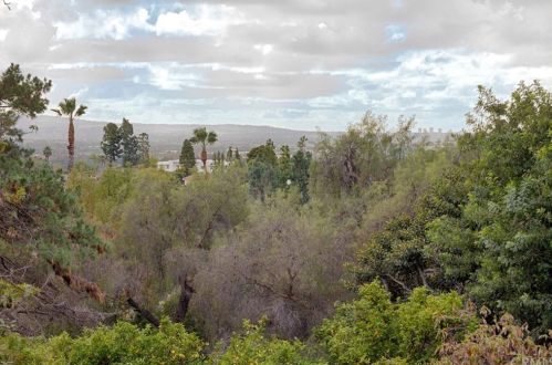 11491 Plantero Dr, Santa Ana CA 92705-3108 exterior