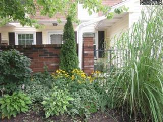 25 Darby Ct, Concord Township OH  exterior