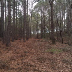 225 Deer Ct, Alapaha, GA 31622-2205