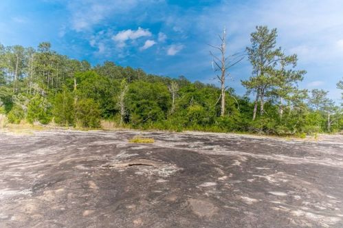 2258 Sumner Ct, Conyers GA  30012-2567 exterior