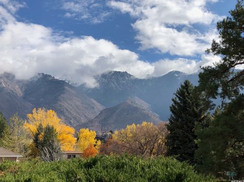 11254 2125, Sandy, UT 84092-5219