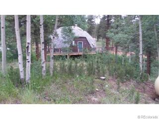 195 Baker Rd, Bailey, CO 80421-1511