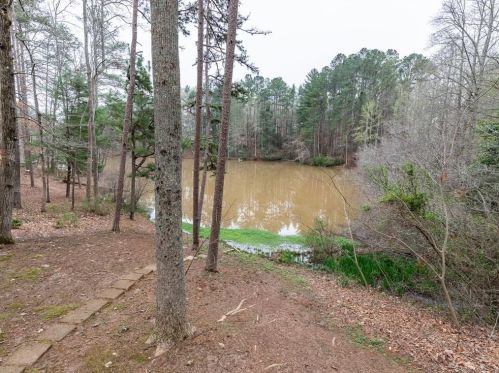 2030 Laurel Cv, Ball Ground, GA 30107-2654