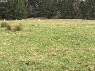 4901 Drummond Dr, Jewell, OR 97138-1079