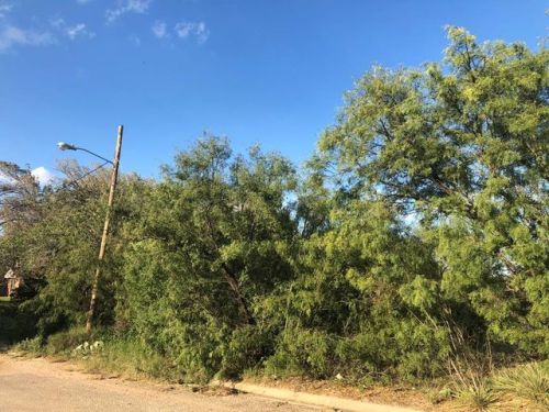 1501 Aylesford St, Big Spring, TX 79720-4229