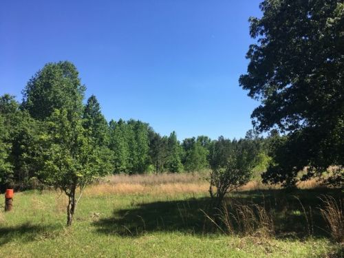 325 Roscoe Ward Ln, Patrick, SC 29584-5403
