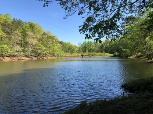 227 Mountain Lake View Dr, Big Canoe, GA 30143-6010