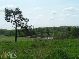 7061 Ransom Free Rd, Clermont, GA 30527-1313